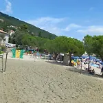 Salyna