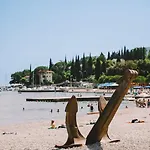 Salyna