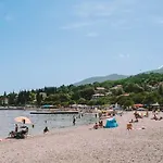 Salyna