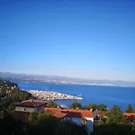 Salyna