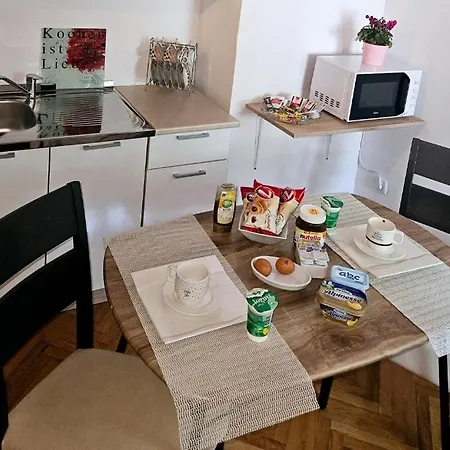 Guest house Salyna
