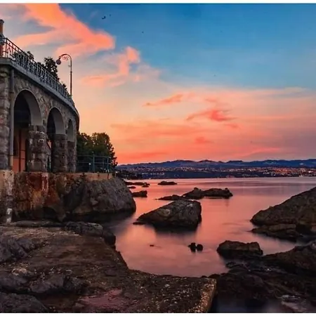 Salyna 