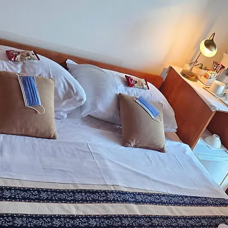 Guest house Salyna 