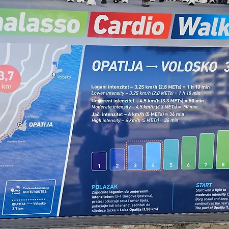 Salyna 