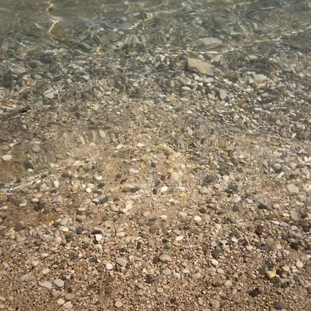 Πανσιόν Bela 3*