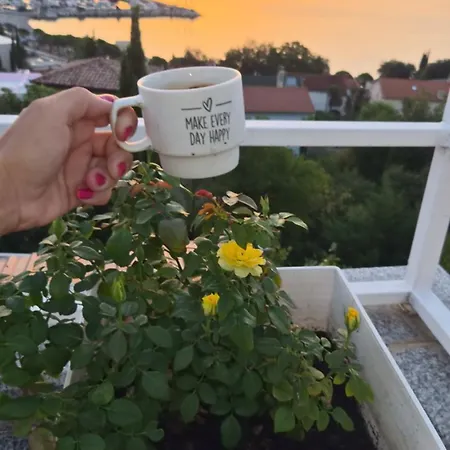 Bela Maison d'hôtes Ičići