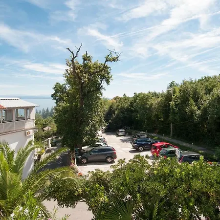 Guest house Salyna 